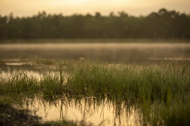 Environmental, Social, and Governance